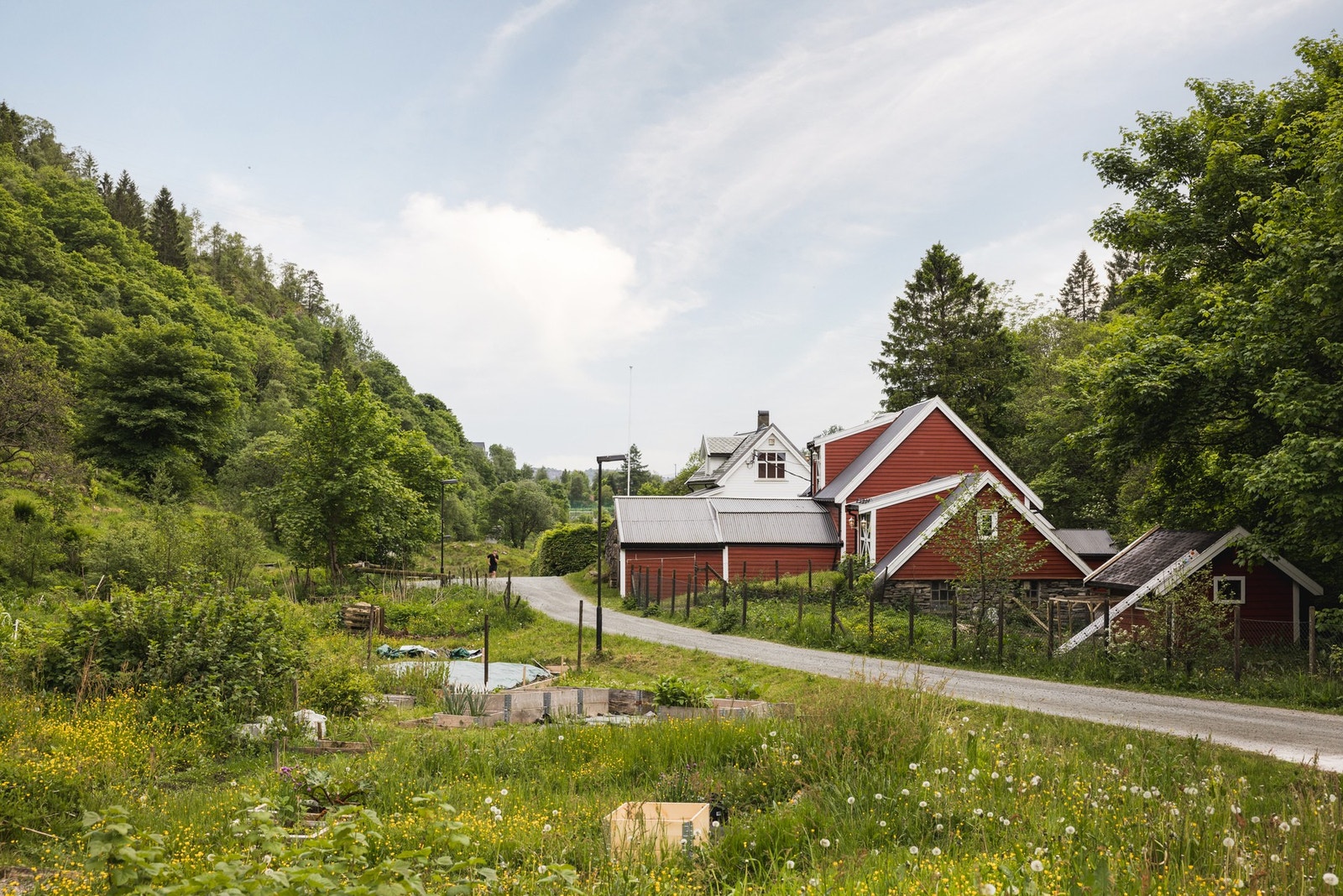 Bergendal Gård er et hyggelig område for tur og rekreasjon med mange tilbud for familien gjennom året. Galleribilde
