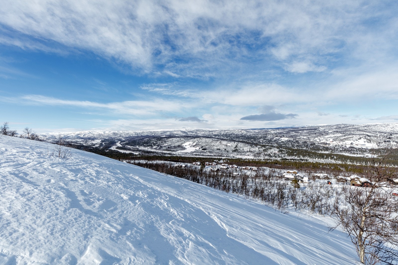 Fra Hallandslie, litt syd for tomtene Galleribilde