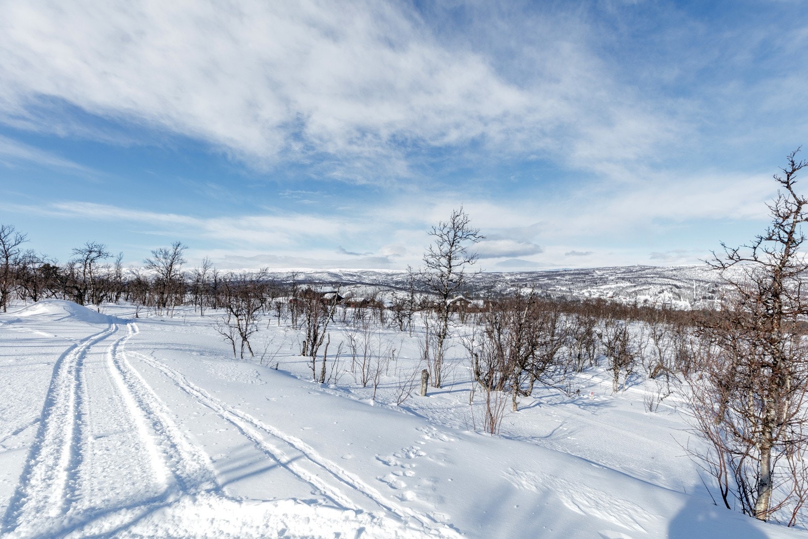 hellandslie2023_7 Galleribilde