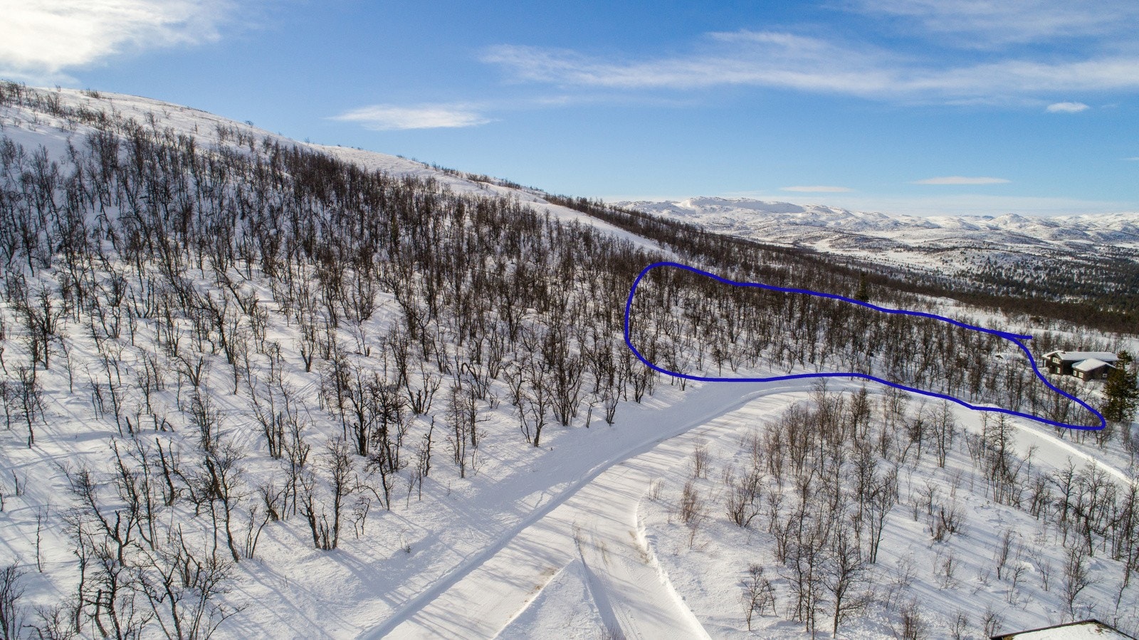 Ski inn - ut - rett i bakken Galleribilde