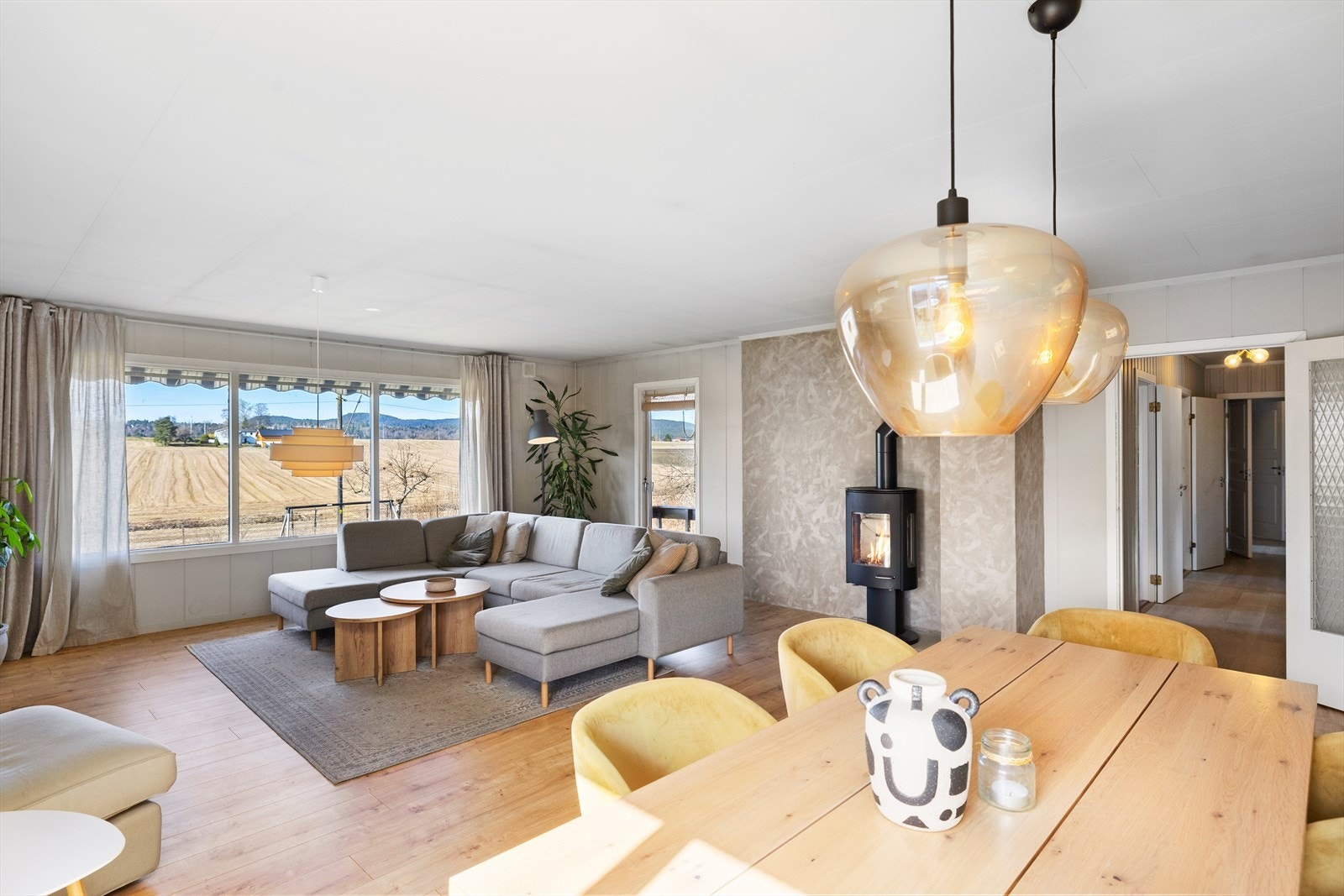 I stuen er det både varmepumpe og moderne peisovn. Galleribilde