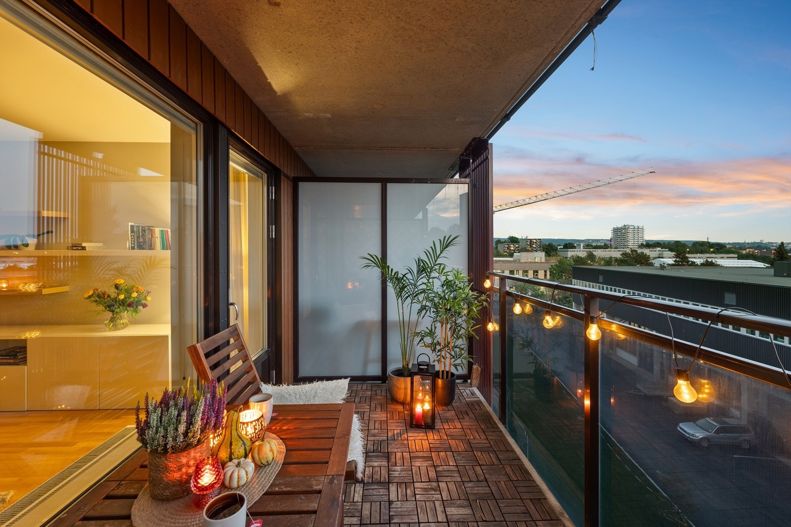 Her er det høy trivselsfaktor! Galleribilde