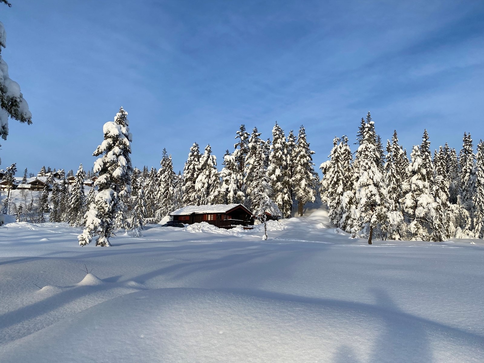 Selgers egne bilder Galleribilde