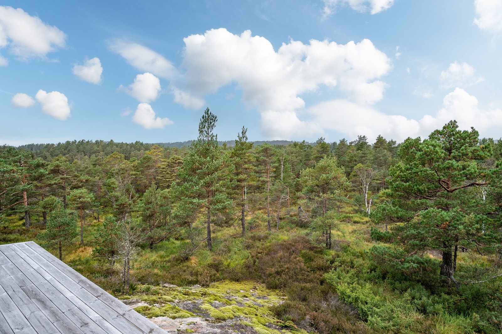 - Flott utsikt | Tomten er romslig og fordeler seg på to gnr/bnr. Til sammen over 2mål - Galleribilde