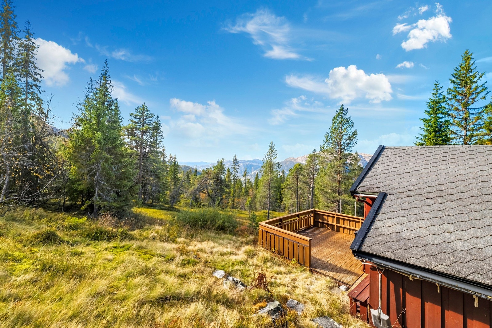 Det går sti nedenfor hytta som kobler seg på sti videre innover Lifjell Galleribilde