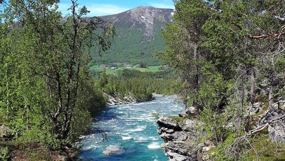 Utsikt mot Liahovden. Under brua renner Grøna. Galleribilde