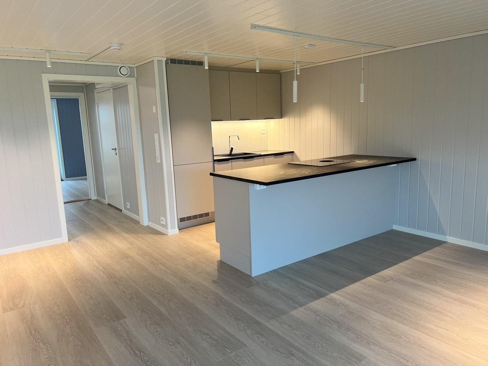 Kjøkken er nylig satt inn. Galleribilde