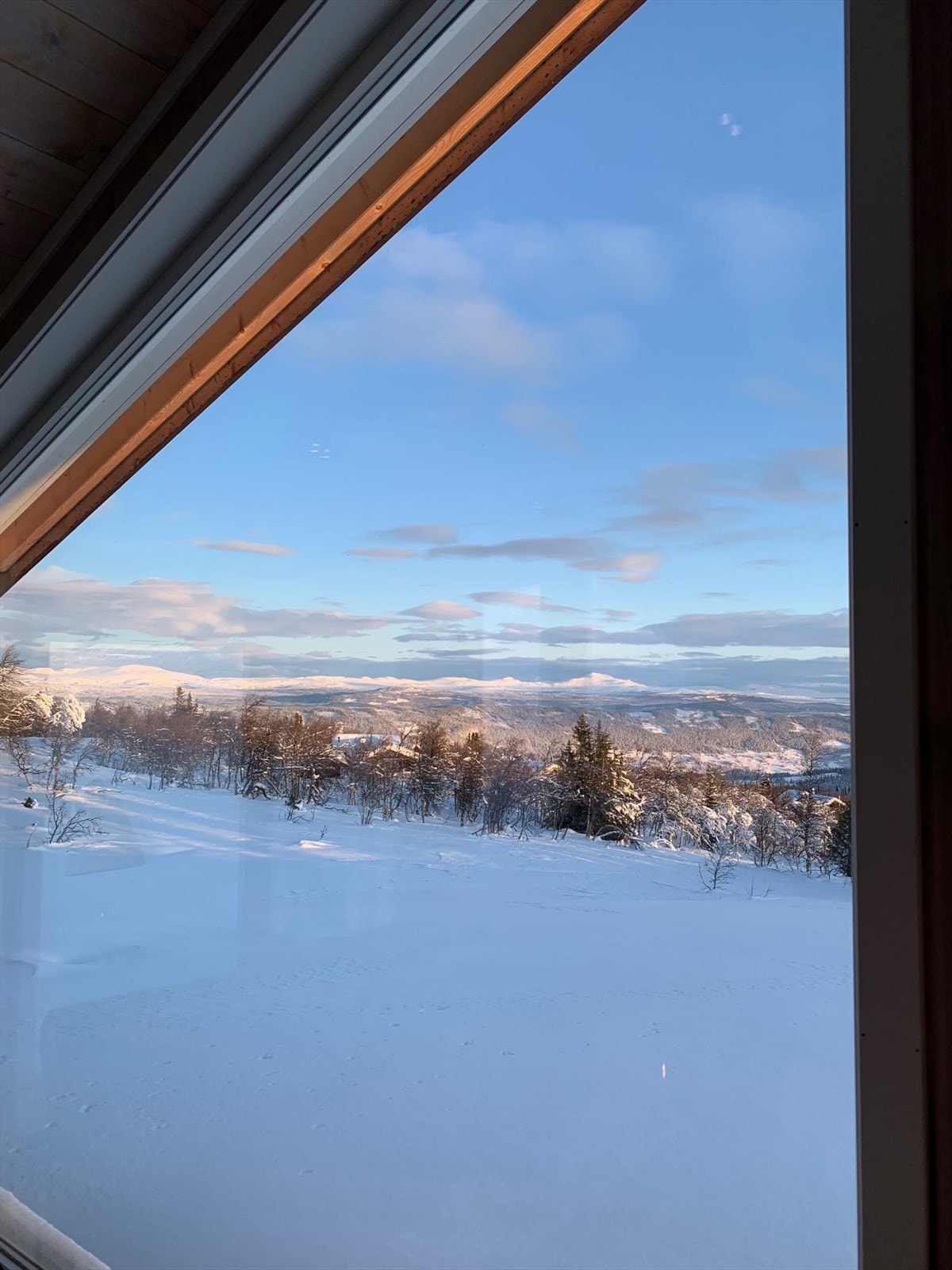 Selgers foto. Galleribilde