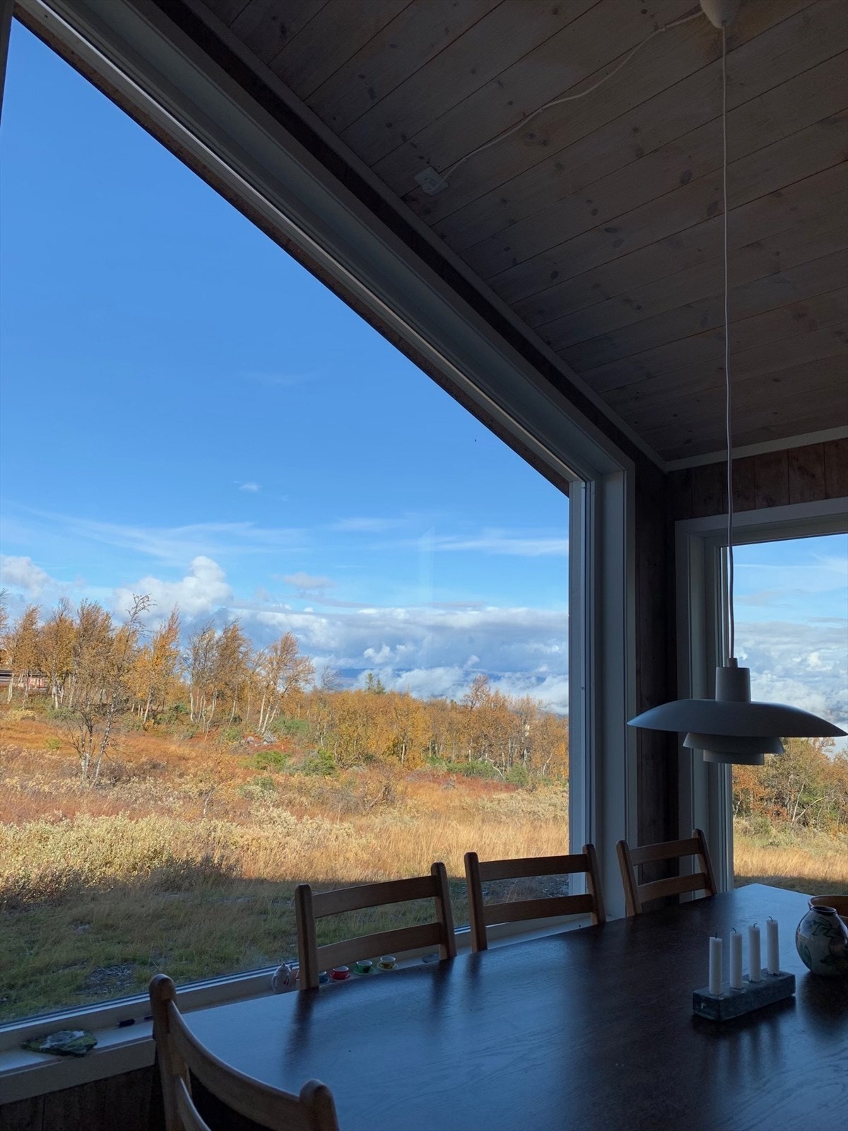 Selgers foto. Galleribilde