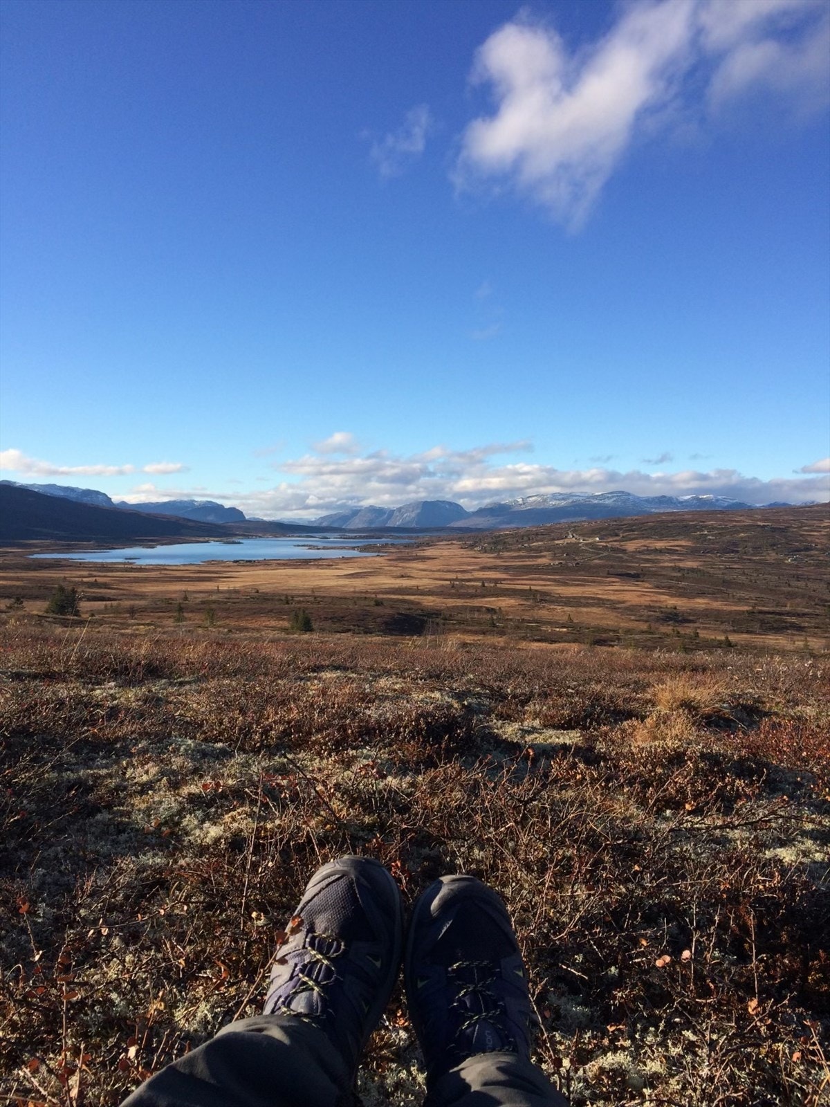 Selgers eget turbilde. Galleribilde