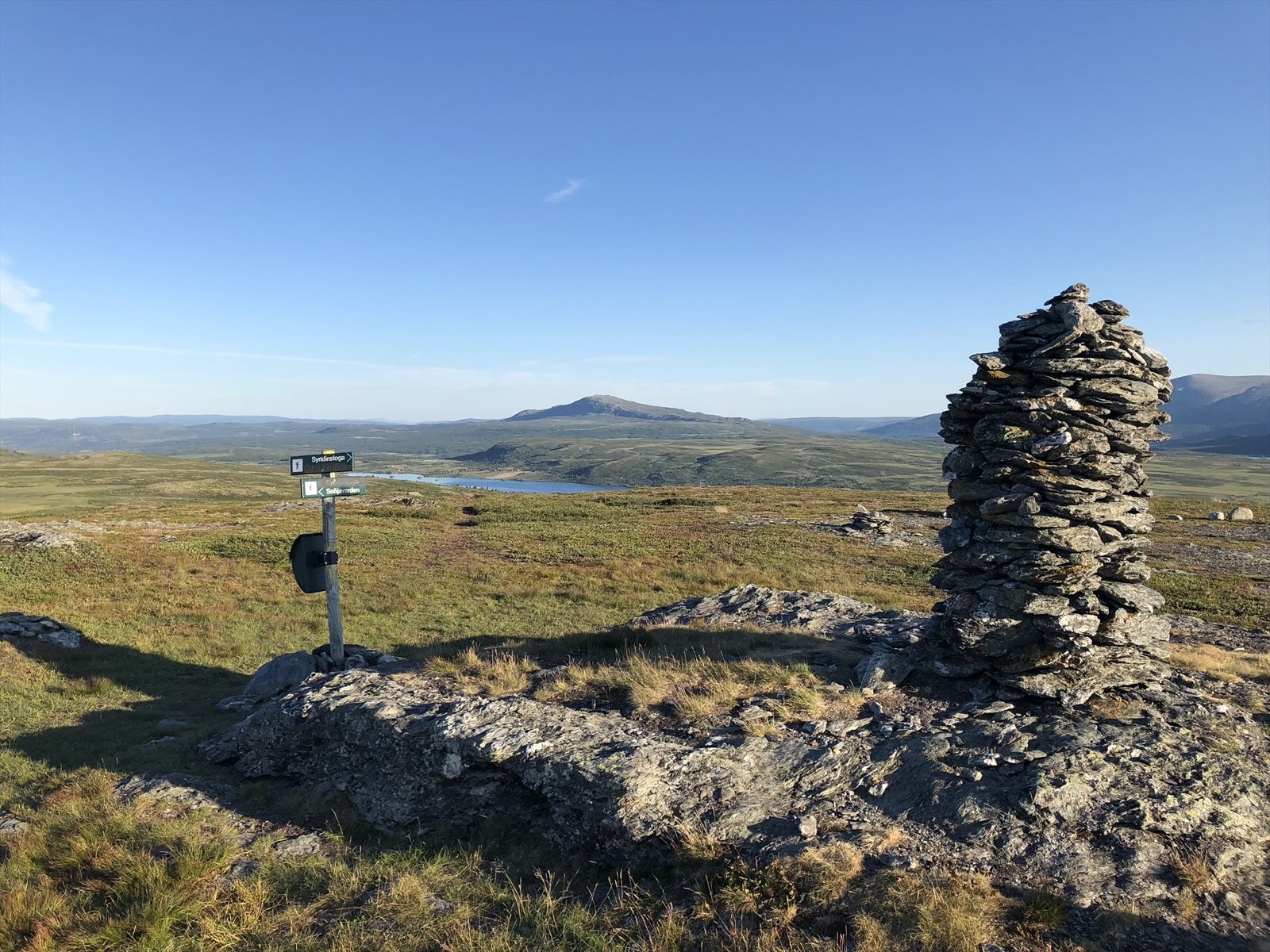 Selgers eget turbilde. Galleribilde