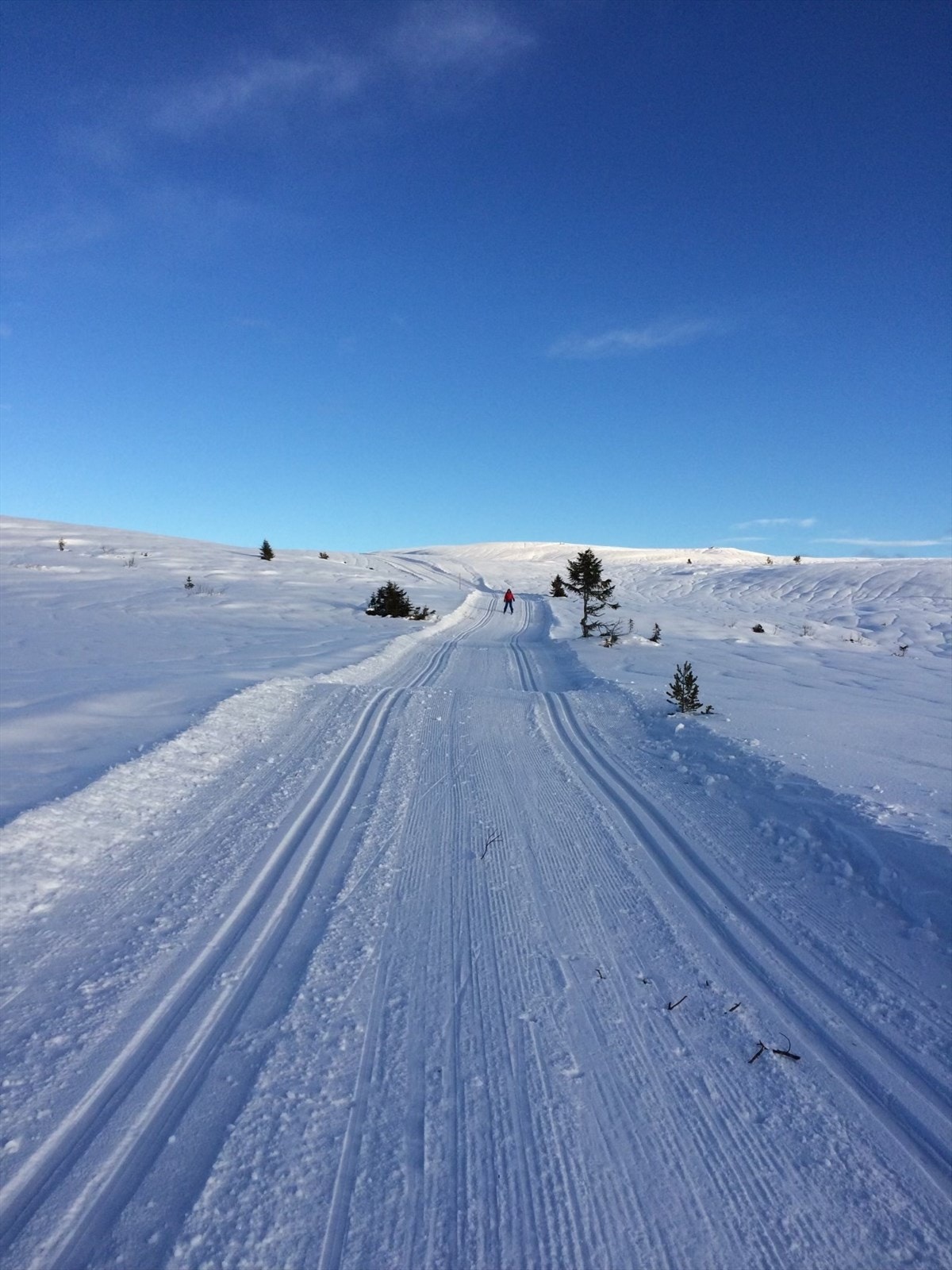 Enormt løypenett! Selgers foto. Galleribilde