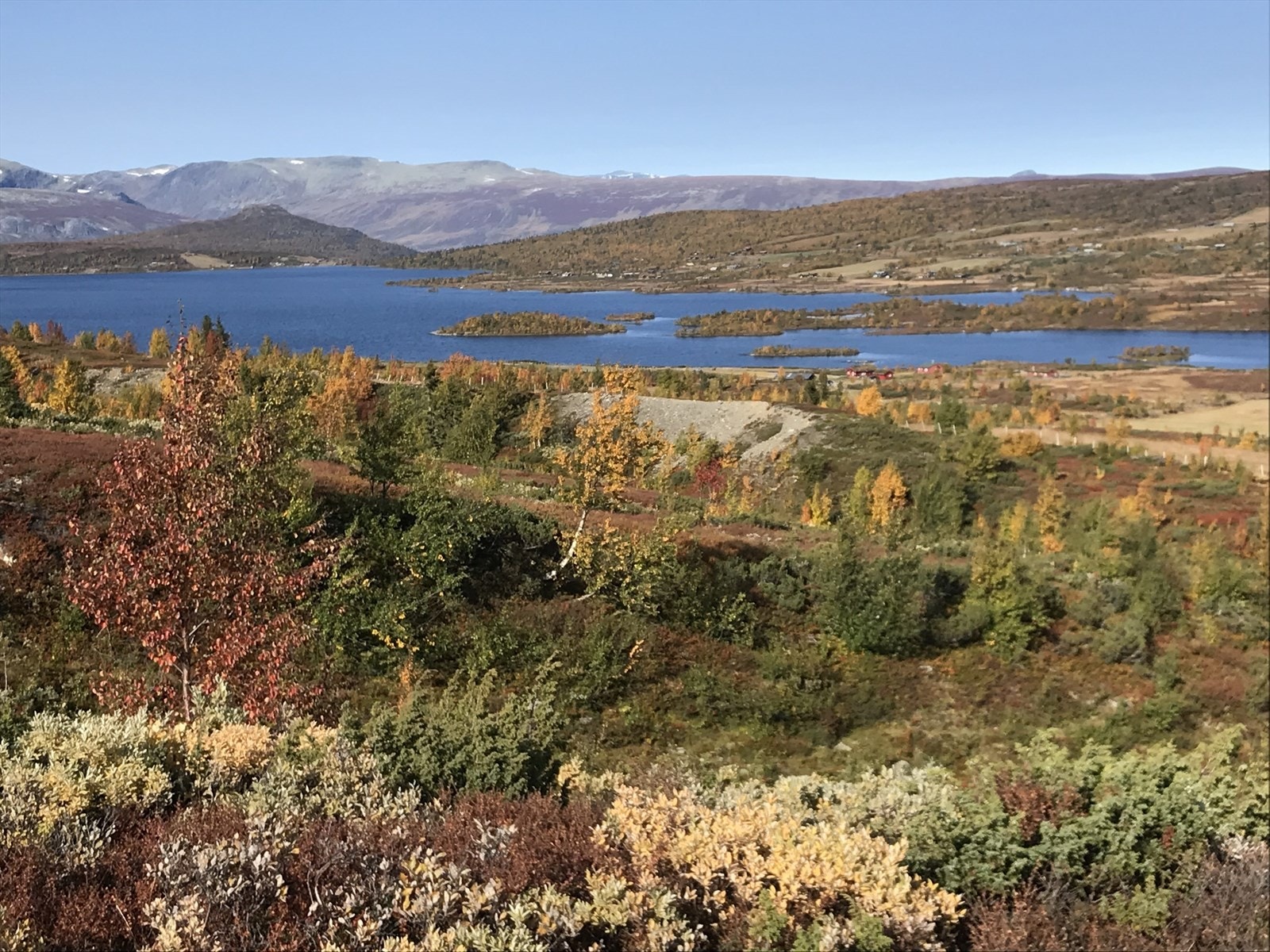 Selgers eget turbilde. Galleribilde