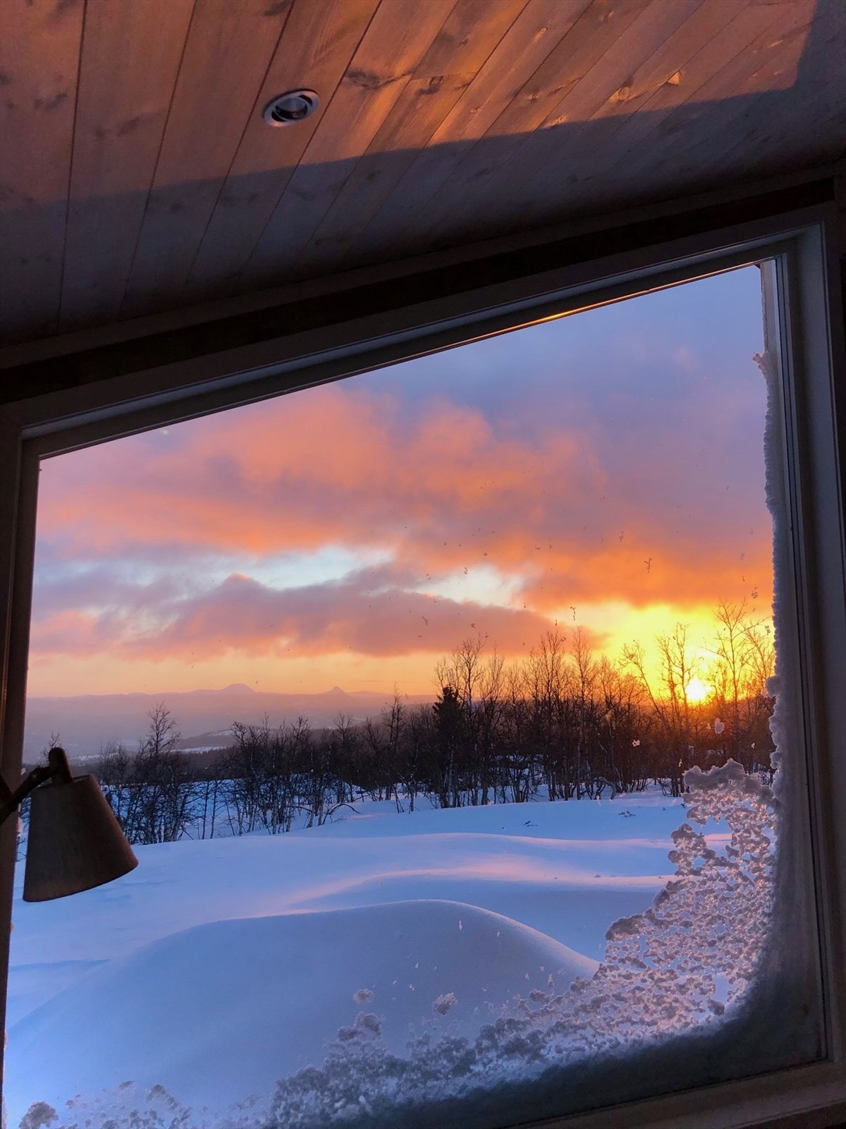 Selgers foto. Galleribilde