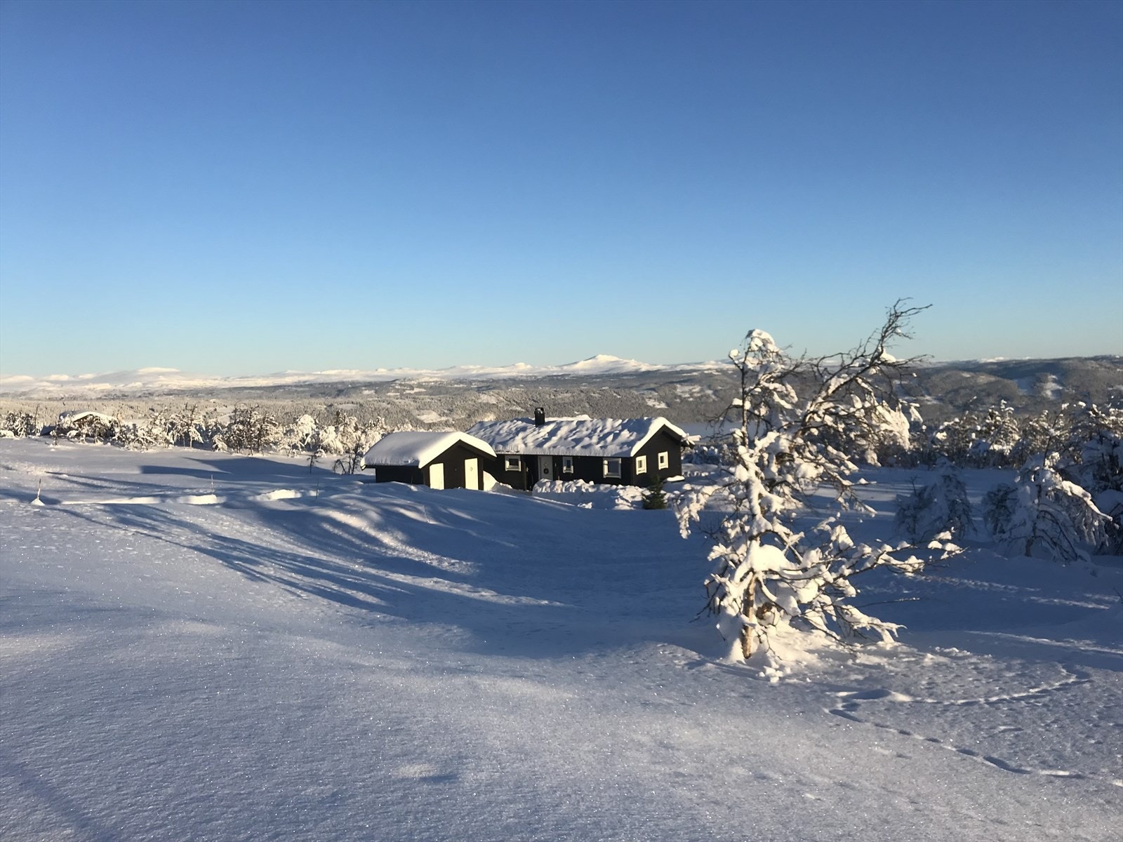 Selgers eget vinterbilde. Galleribilde