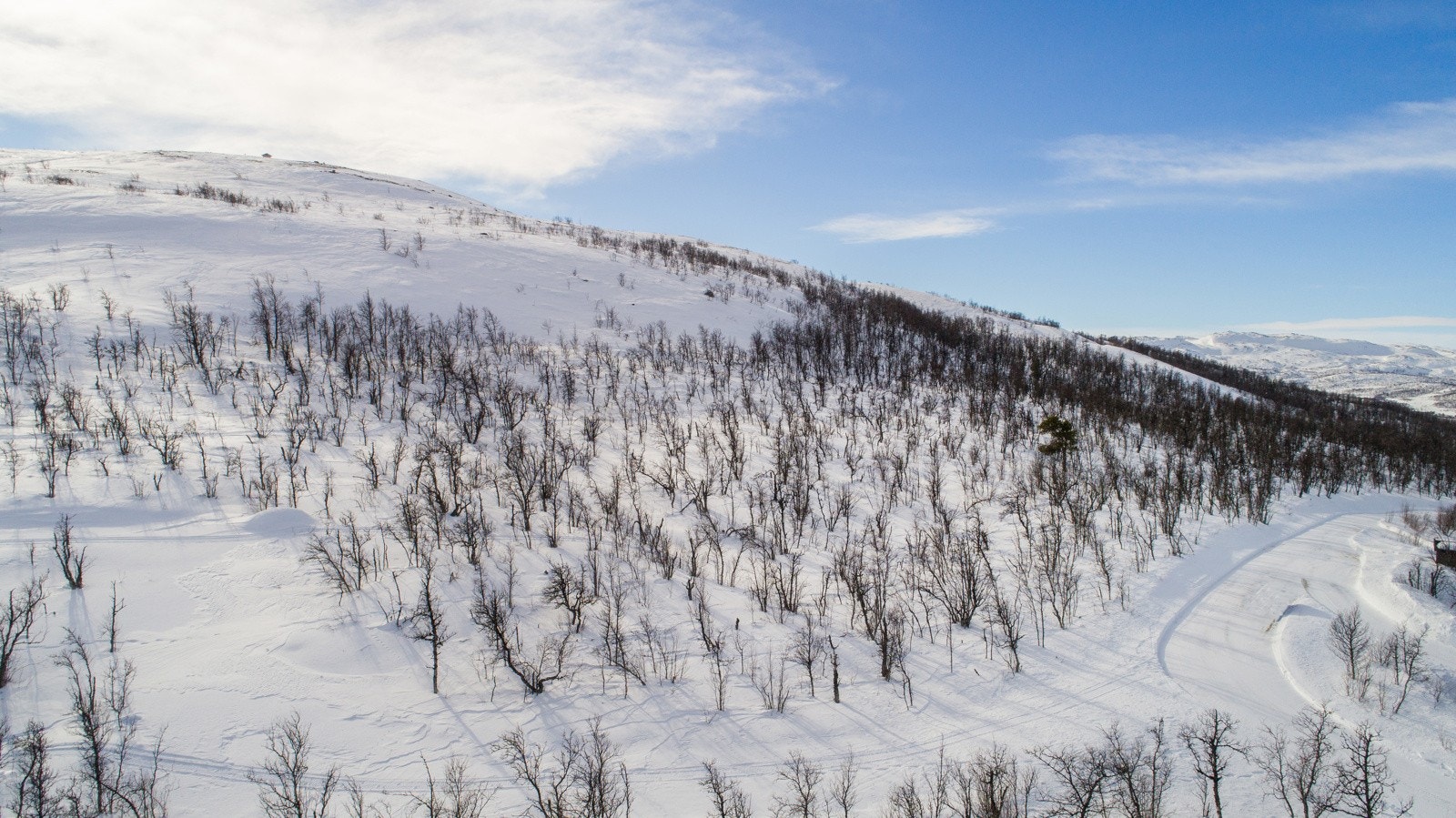 Deler av område der de nye tomtene ligger Galleribilde