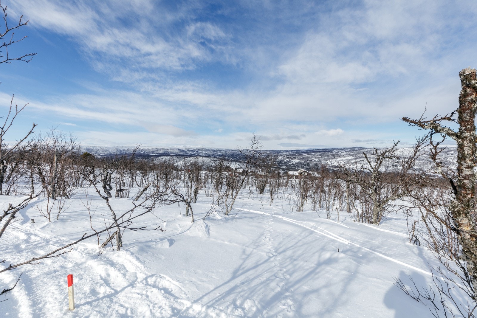 hellandslie2023_30 Galleribilde