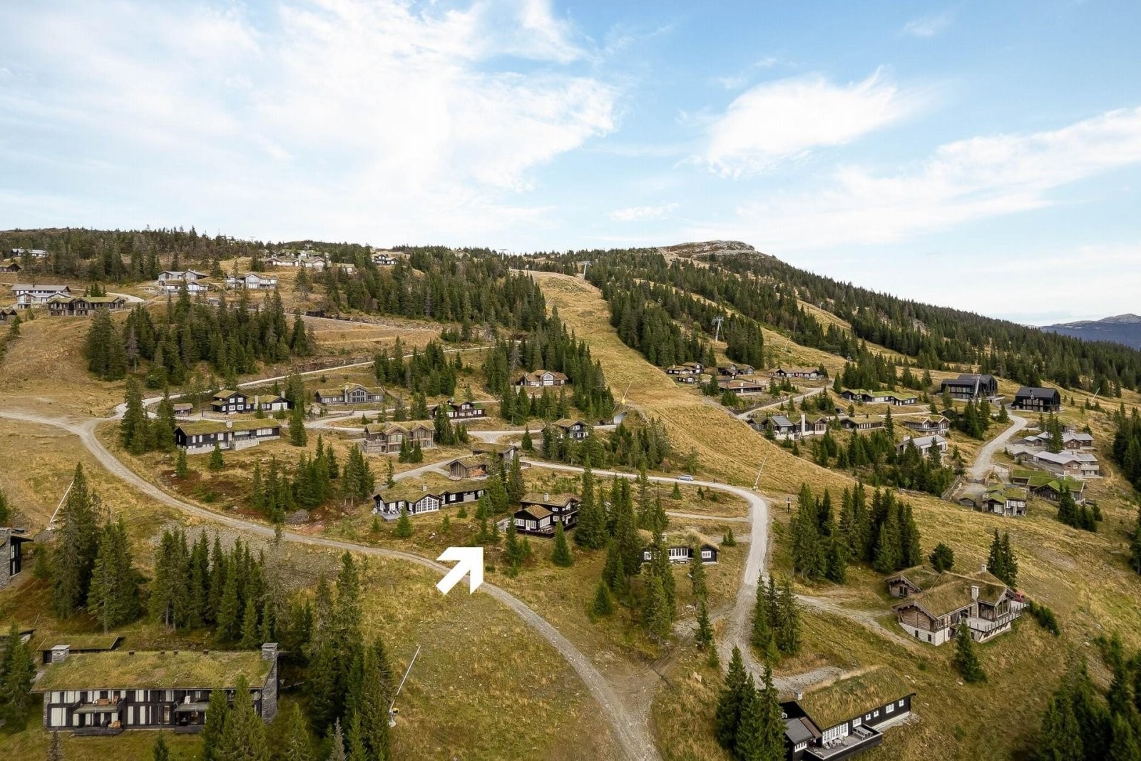 Alpinbakken ligger på begge sider av hytta. Bjørnliløypa ser du til venstre, som også er en fin tursti sommerstid. Galleribilde