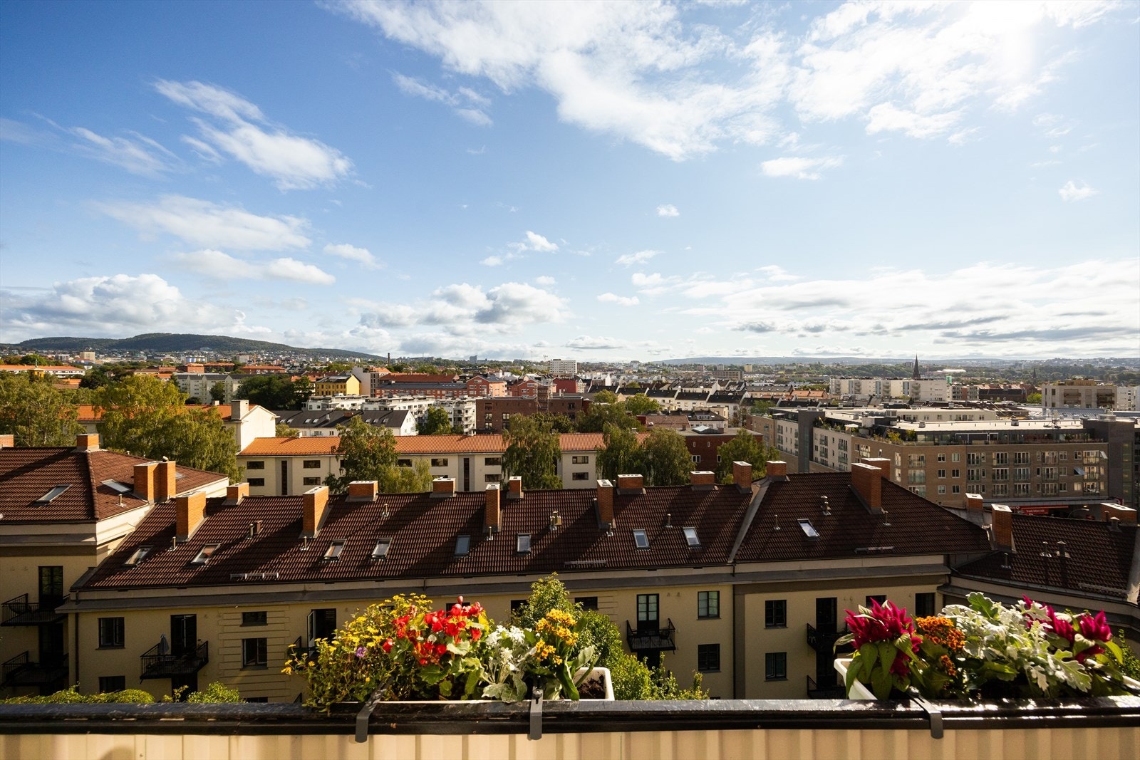 Fougstads gate 47 - Presentert av Vilde Nadden i Nordvik. Galleribilde
