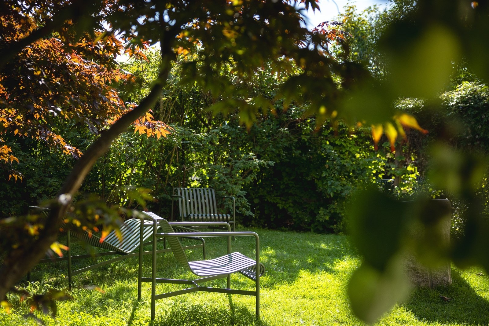 Her finner man gressplen med utemøbler, trær og beplantning. Galleribilde