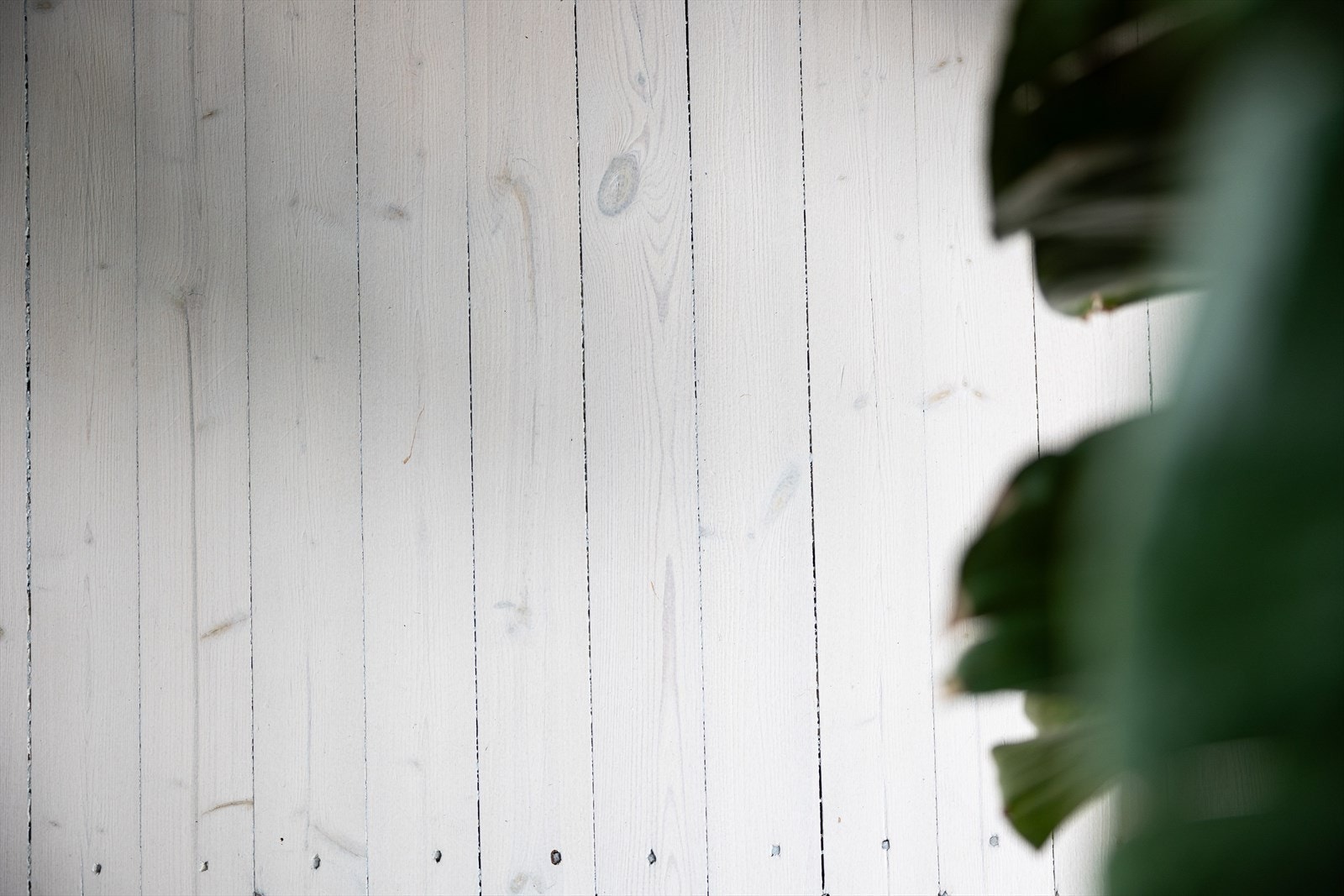 Legg merke til det pene, originale tregulvet som er i alle rom (bortsett fra bad). Galleribilde