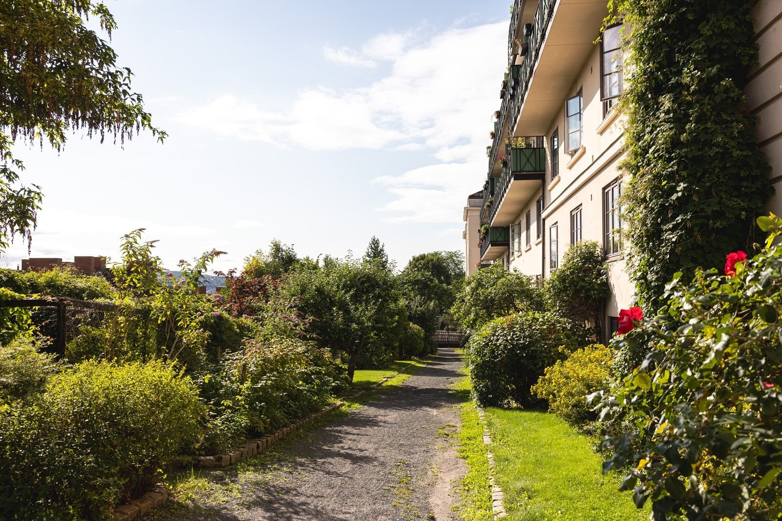 Borettslaget har et utrolig hyggelig og frodig uteområde. Galleribilde