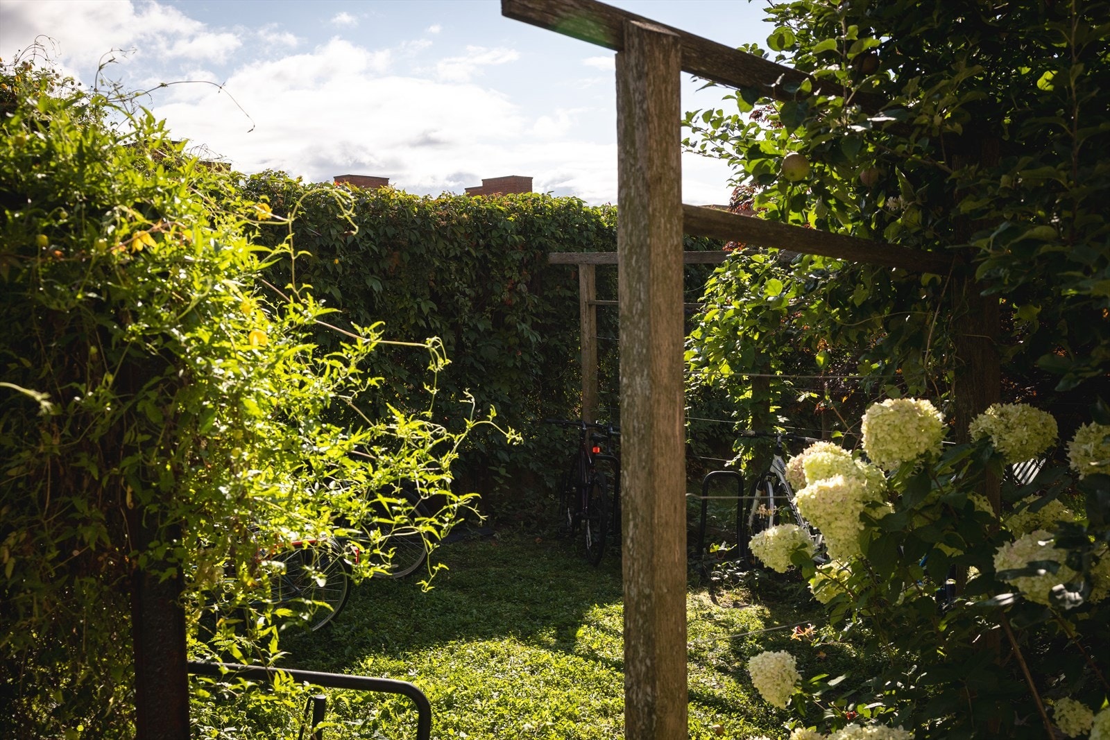 Sykkelstativ i bakgården. Galleribilde