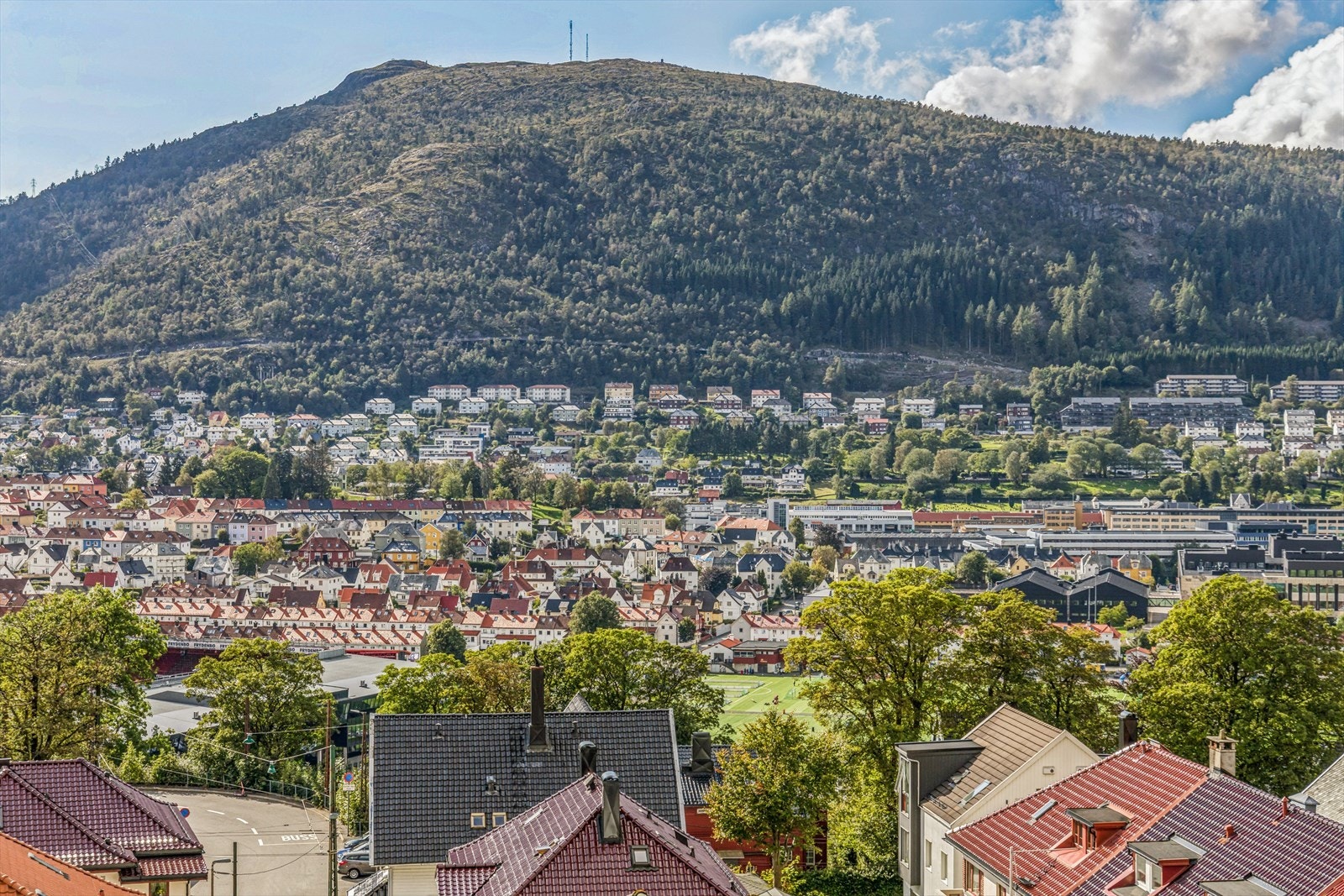 Utsikt Galleribilde