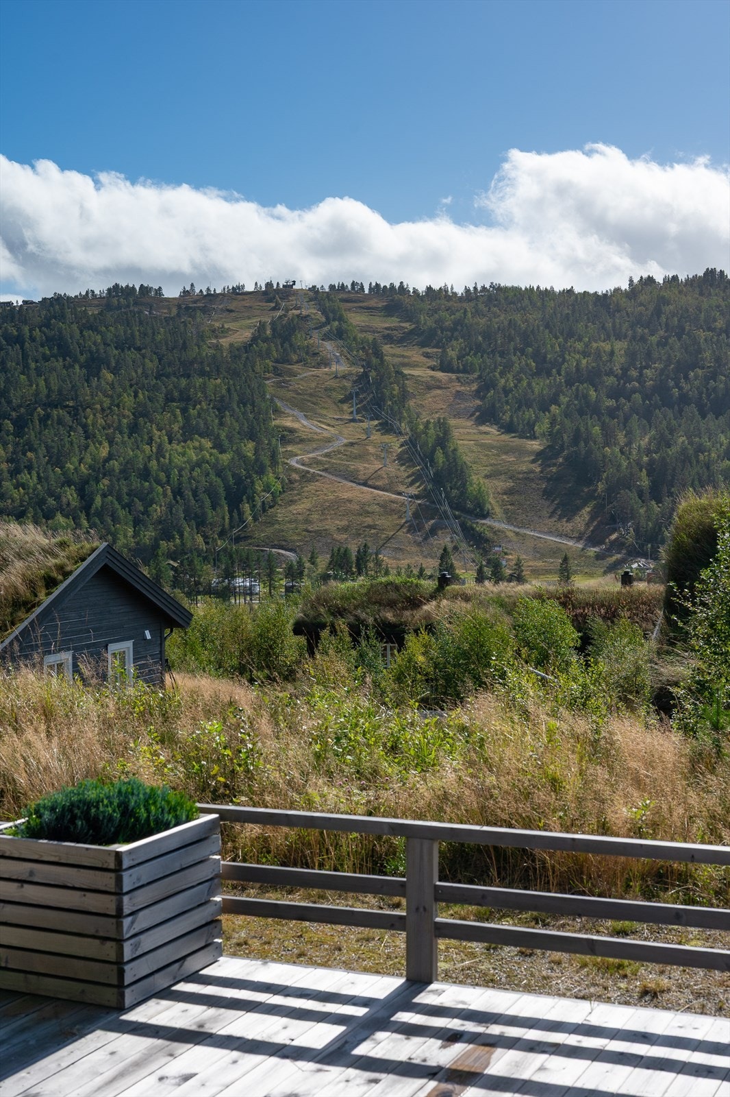 Kort vei til alpinbakken Galleribilde