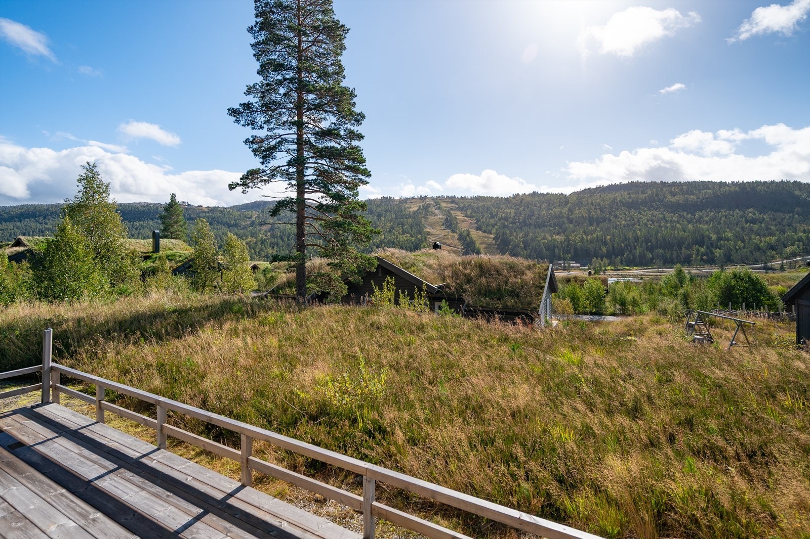 Naturtomt med fint utsyn Galleribilde