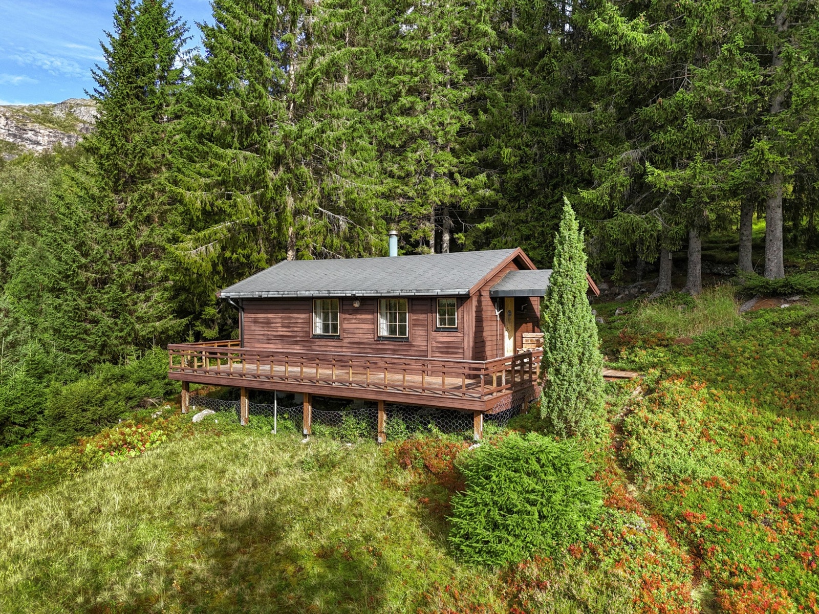 Hytten ligger fint til i grønne naturskjønne omgivelser. Galleribilde