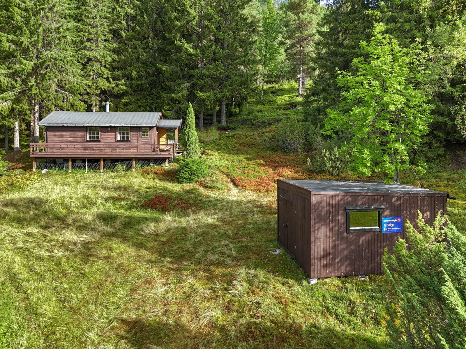 Hytten ligger fint til i grønne naturskjønne omgivelser. Galleribilde