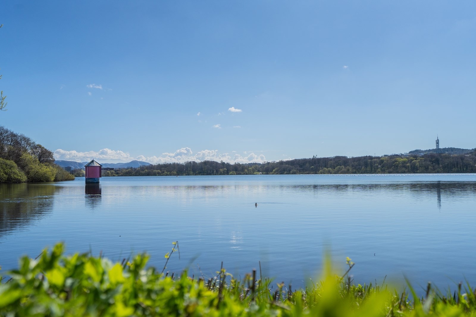 Mosvannet. Galleribilde
