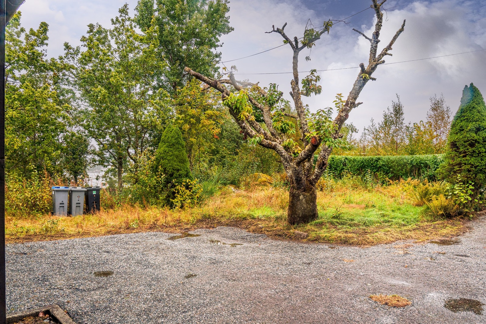 Tomten har god plass til parkering av biler Galleribilde