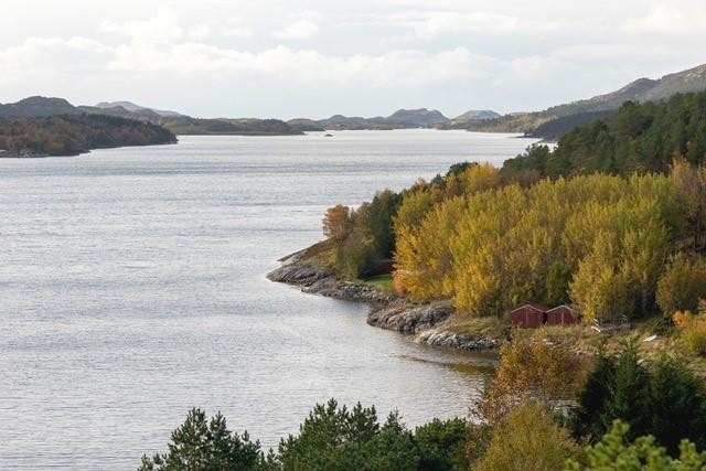 Sørsalten mot sør Galleribilde
