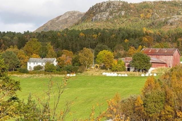 Sørdal gård Galleribilde