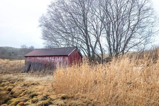 Naust ved Sørsalten Galleribilde