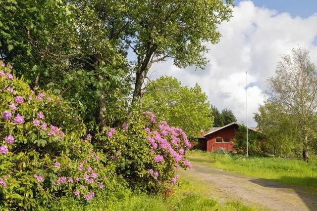 Gårdsområde Galleribilde