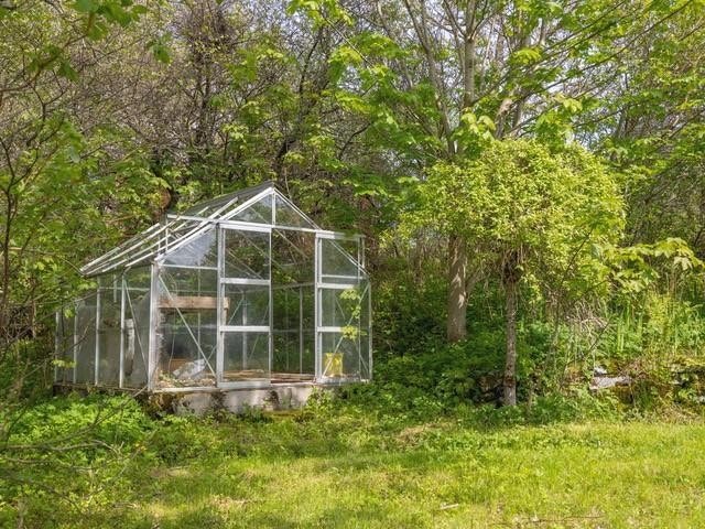 Drivhus Galleribilde