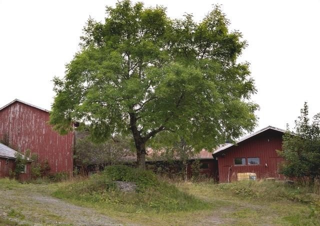 Driftsbygning Galleribilde