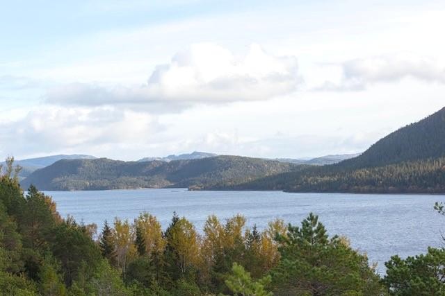 Sørsalten mot nordvest Galleribilde