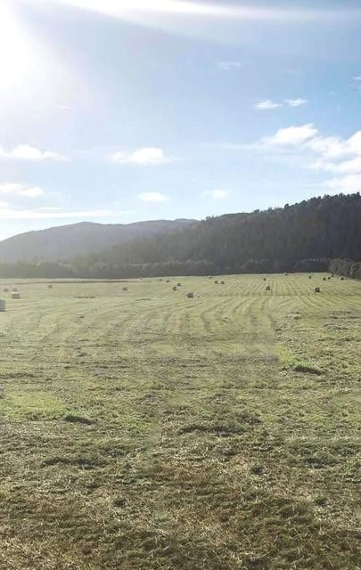 Jorde mot nord Galleribilde