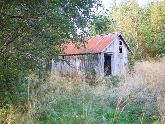 Sommerfjøs Galleribilde