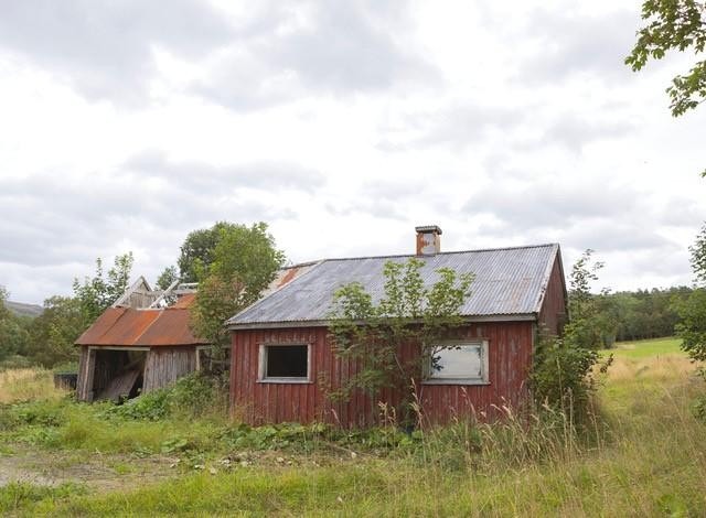 Grishus/uthus Galleribilde