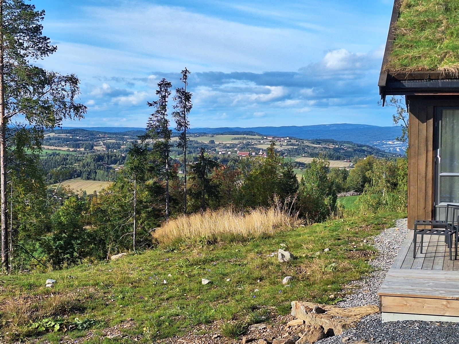 Utsikt fra feltet Galleribilde