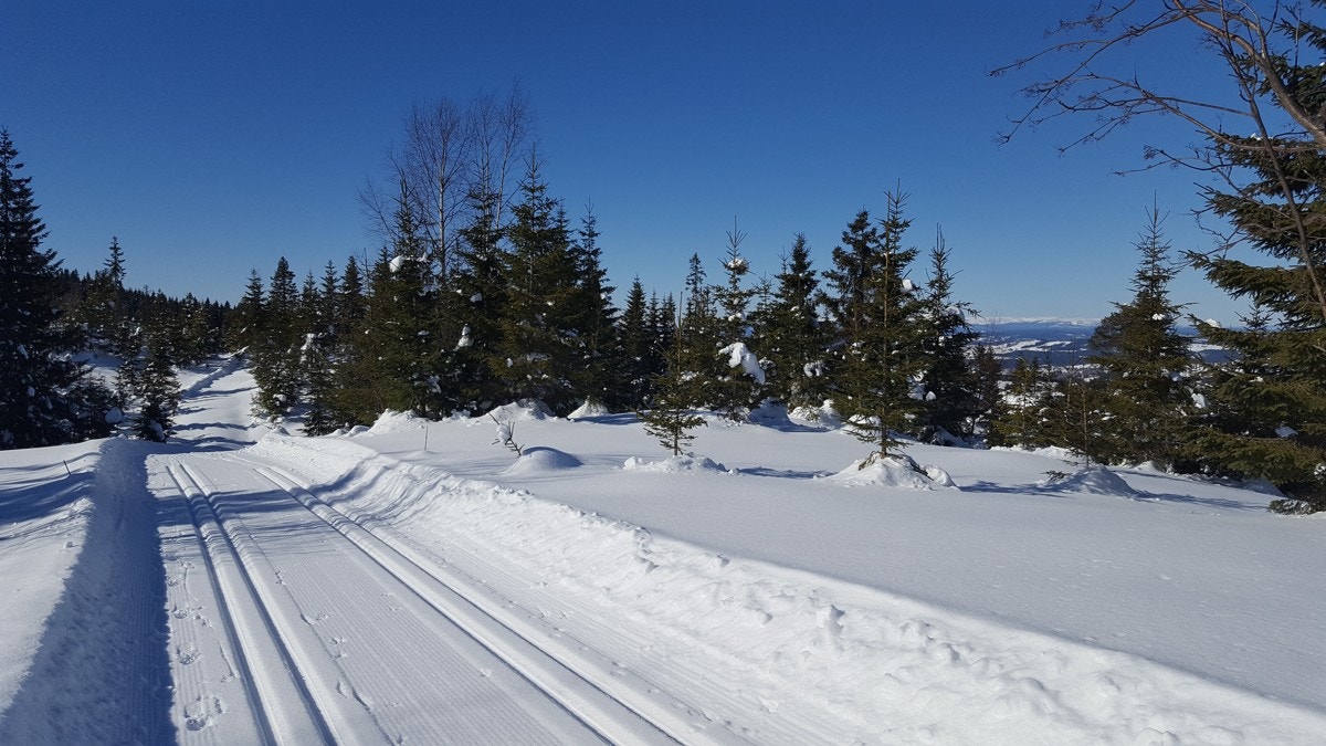 Ved Svea sportshytte kan du ta en pust i bakken under skiturer vinterstid. Et fantastisk flott løypenett, med brede, oppkjørte løyper er en del av hele Nordmarkas løypenett. Galleribilde