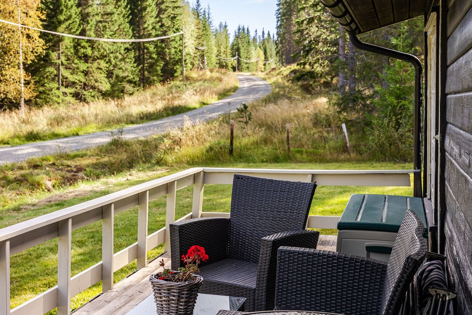 Terrasse med fine solforhold og utsikt mot skogen. Galleribilde