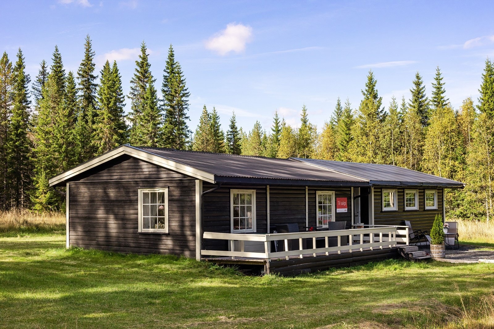 Fra hytta er det ca. 5 km til nydelige Osensjøen, hvor en kan bade, fiske og kjøre båt. Galleribilde