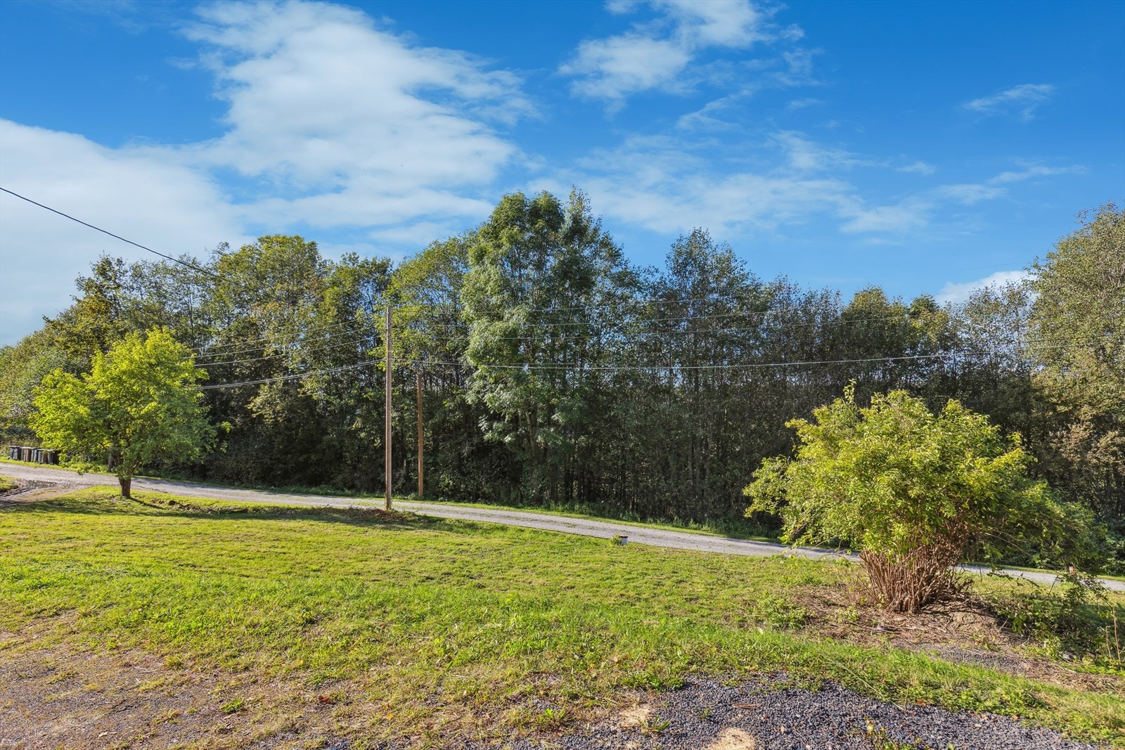 For den aktive er det gode turmuligheter i området. Du finner skiløype fra Haug til/fra Ringkollen, der det også er et bredt aktivitetstilbud med hoppbakker, alpinbakke, lysløype og forøvrig flotte skiløyper innover Nordmarka. Galleribilde