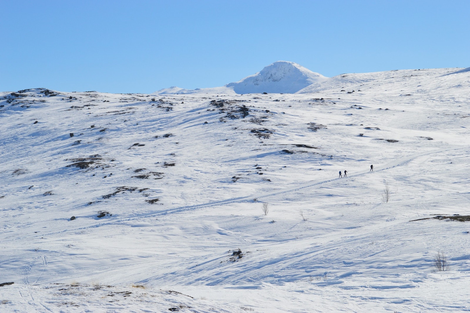 Det blir preparert ca. 140 km skiløyper i området. Løypenettet kan nås fra hyttefeltet - herfra er det mange muligheter. Galleribilde